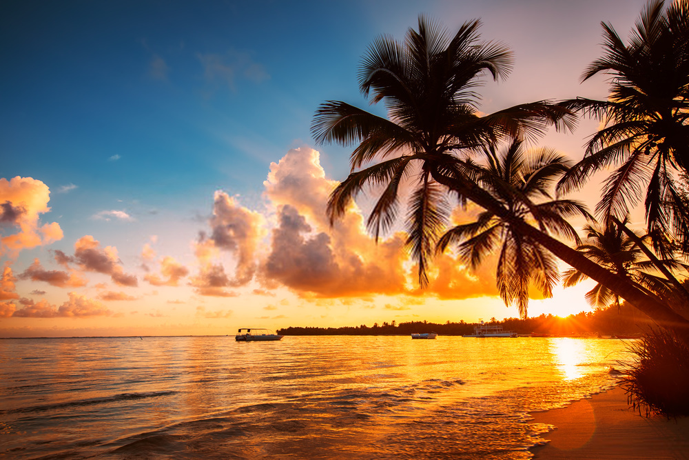 ハワイのリゾートフィーについてまとめ